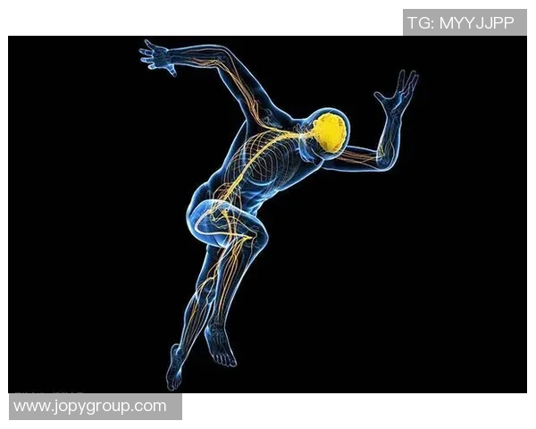 西安极限运动队灵活性分析及其对训练效果的影响研究